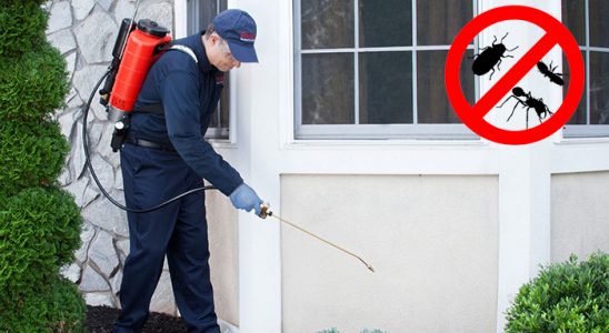 Aziziye Hamam Böceği İlaçlama böcek ilaçlama ve haşere kontrolü — ilaclama-tr.com